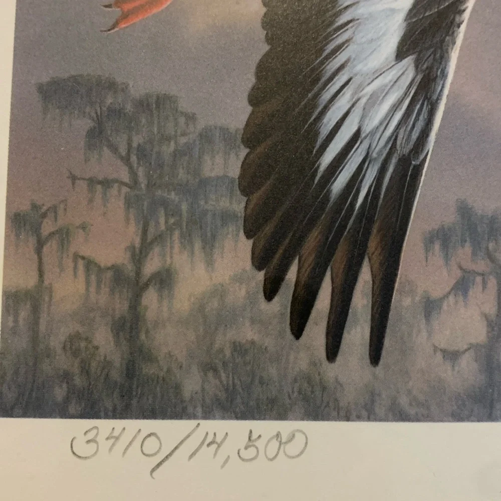1989 Migratory Bird Hunting Duck Stamp Printd